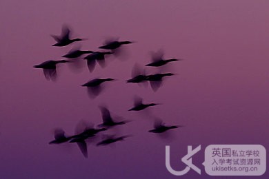UKiset词汇：“不能”是“cannot”还是“can not”？
