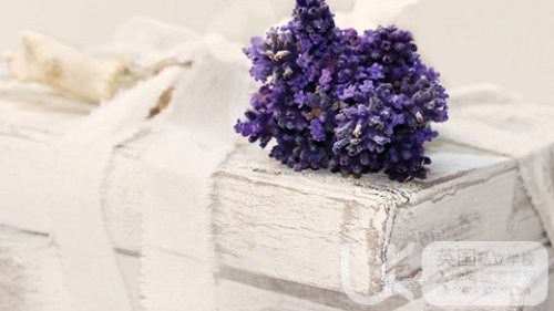 UKiset指示代词that引导的同位语从及定从的区别