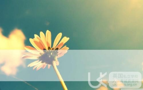 UKiset数学考试解答题备考技巧