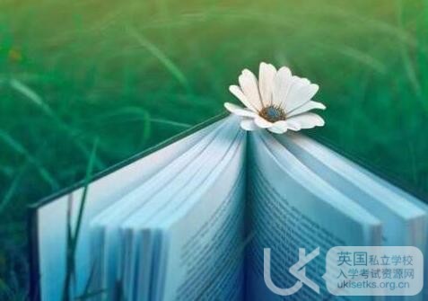 Ukiset阅读考试练习题：纽约骑警