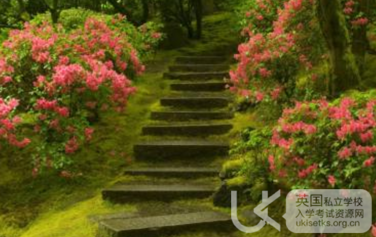 Ukiset阅读练习：一次历史小测验