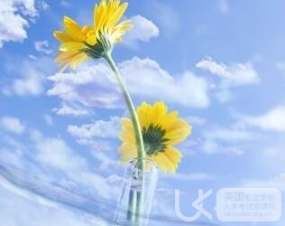 Ukiset英语考试必备十大句型（2）