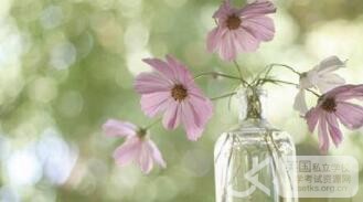 Ukiset阅读考试练习：一束花在母亲节的意义