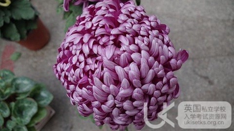 UKiset词汇语法中不容忽视的小错误