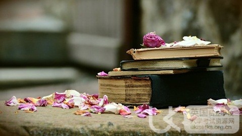 UKiset语法人称代词的用法