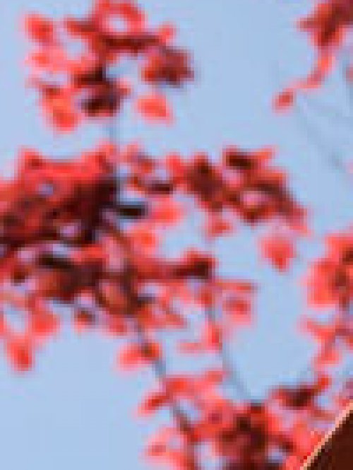 留英|该给孩子选择什么样的夏令营