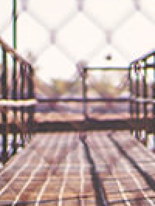 UKiset打破僵局