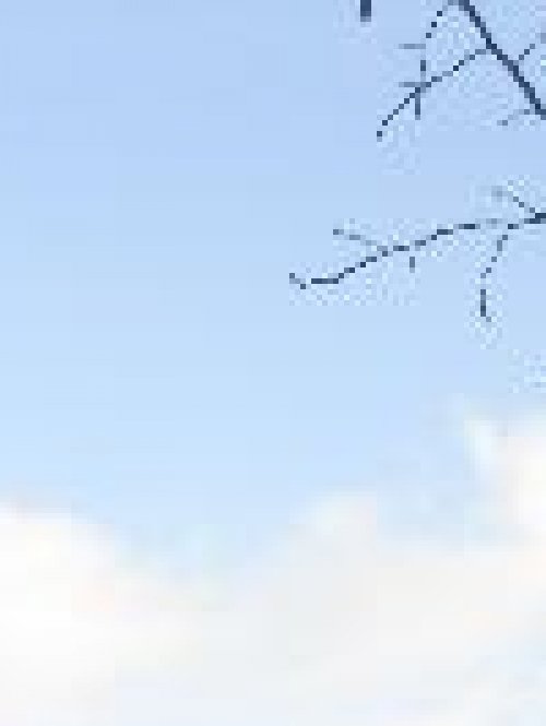 英国人心中的十本经典著作，你知道到吗？