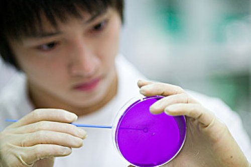 UKiset作文：令人点赞的高分替换词