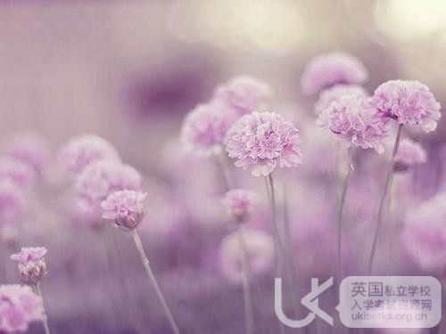 Ukiset听力考试如何备考能拿高分