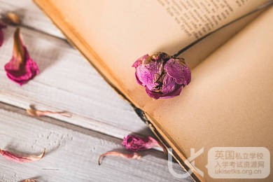 Ukiset阅读考试备考要重视词汇