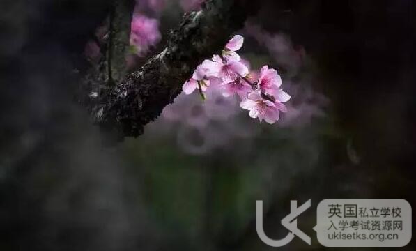 UKiset数学备考要抓住这些重点 UKiset数学备考要抓住这些重点