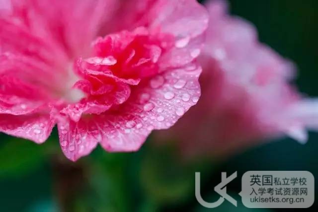 UKiset阅读考试解题方法分享,快来看 UKiset阅读考试解题方法分享,快来看