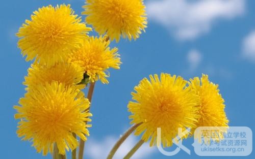 Ukiset英语练习题，你能全部做对吗？