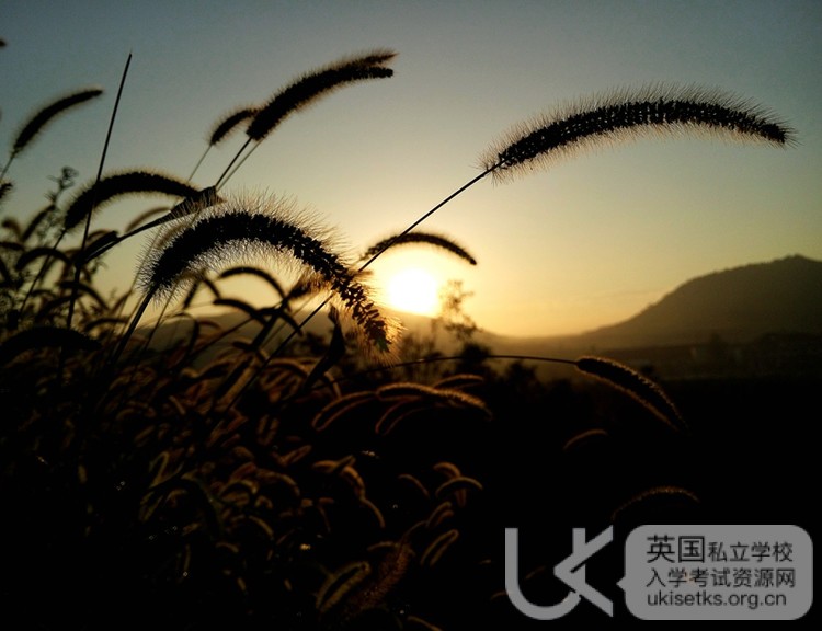 Ukiset阅读备考:乐观的情绪可以战胜疾病 Ukiset阅读备考:乐观的情绪可以战胜疾病