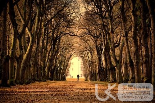 Ukiset数学考试适当多做题养成解题习惯 Ukiset数学考试适当多做题养成解题习惯