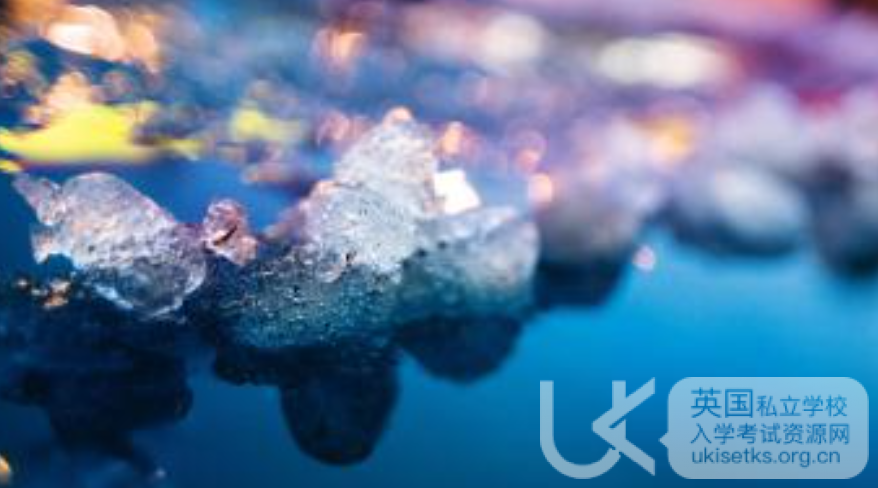 UKiset阅读备考：一件价值低廉的毛衣