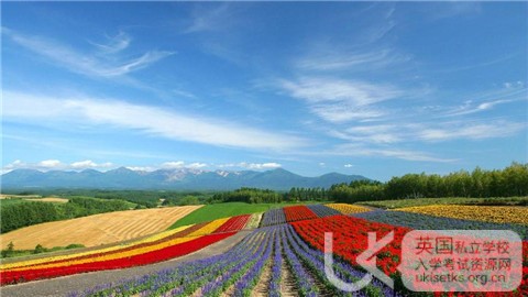 UKiset考试,UKiset写作,UKiset考试时间